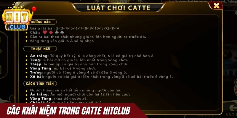 Các khái niệm trong Catte Hitclub