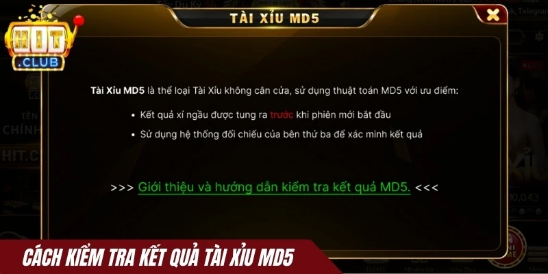 Cách kiểm tra kết quả Tài xỉu MD5 Hitclub