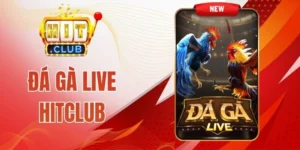 Tỷ lệ thưởng Đá gà live Hitclub